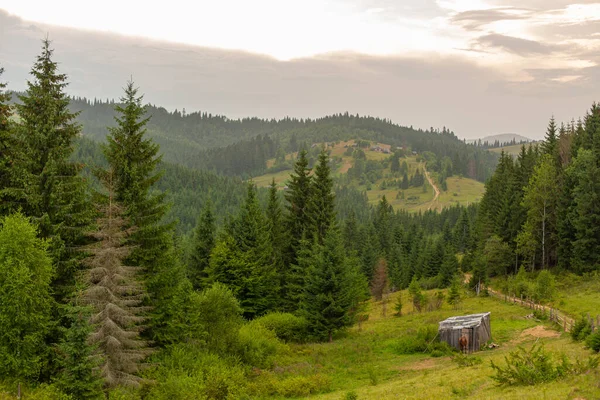 Karpaty Dağları Nın Yaz Manzarası — Stok fotoğraf