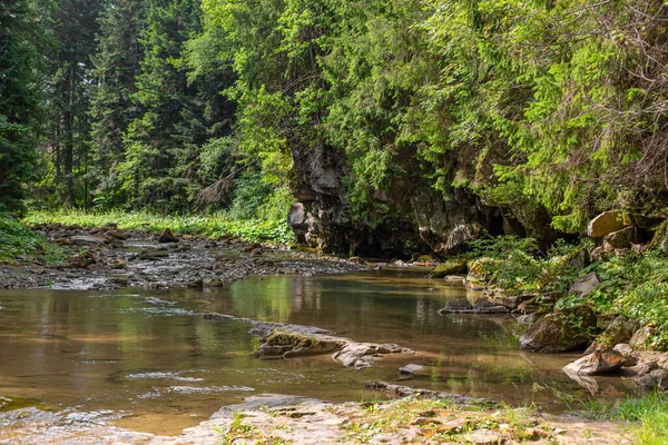 Dağ ormanında alçak su şelalesi olan küçük bir nehir. Dağ ormanında Brite yaz günü.