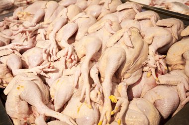 Bir marketin tezgahında toplanmış tavuk leşleri..