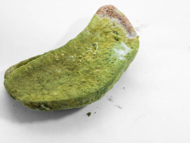 Beyaz arka planda yeşil küfle kaplı bir parça ekmek izole edilmiş..