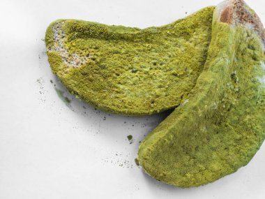 Beyaz arka planda yeşil küfle kaplı bir parça ekmek izole edilmiş..