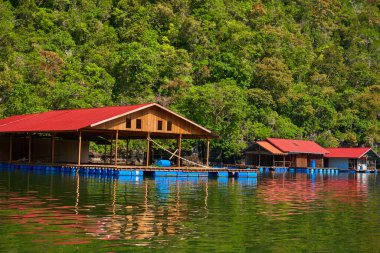 Malezya 'nın Langkawi adasında yüzen bir balık çiftliği..