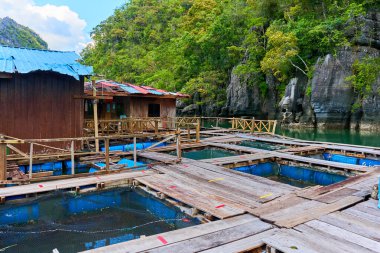 Malezya 'nın Langkawi adasında yüzen bir balık çiftliği..