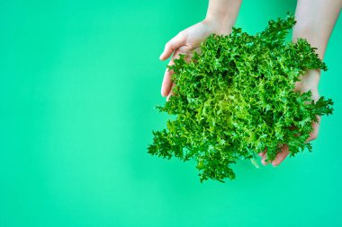Yeşil arka planda taze yeşil marul salatası..