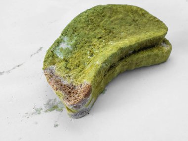 Beyaz arka planda yeşil küfle kaplı bir parça ekmek izole edilmiş..