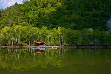 Malezya 'nın Langkawi adasında yüzen bir balık çiftliği..