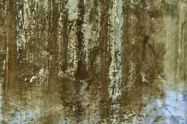 Concrete wall texture with green mold stains.
