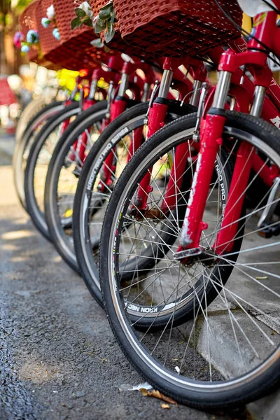 Fahrradabstellplätze Der Stadt Fahrräder Zum Verleih Beliebter Städtischer Öko Transport — Stockfoto
