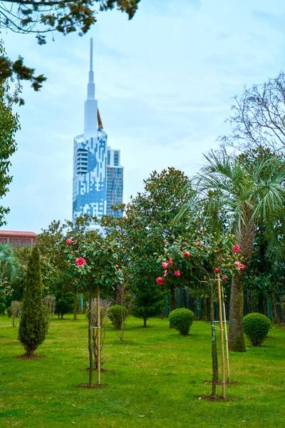 View Colorful Green Park Modern Glass Building Spire Architecture Batumi — Stock Photo, Image