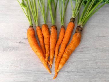 Sadece bahçeden taze havuç. Açık arkaplanda yeşil saplı turuncu havuçlar. İştah açıcı sağlıklı sebze..