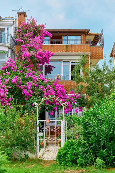 Dekoration Eines Wohnhauses Mit Leuchtend Violetten Blumen — Stockfoto
