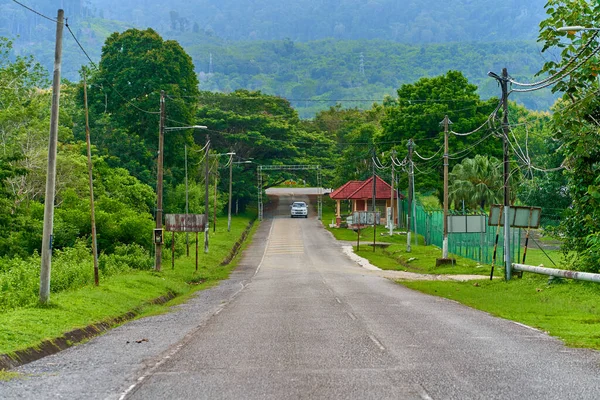 Estrada Rural Uma Ilha Tropical Ásia Paisagem Natural Selva Langkawi — Fotografia de Stock