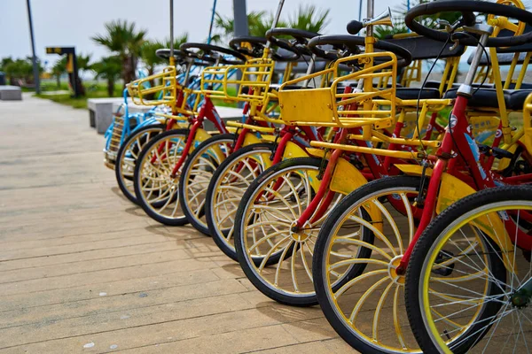 Aluguer Bicicletas Para Ciclismo Longo Aterro Estacionamento Bicicleta Para Toda — Fotografia de Stock