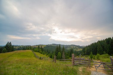 Dağ tepeleri saf doğa kırsal alan. Ahşap kütüklerden ayrılın.