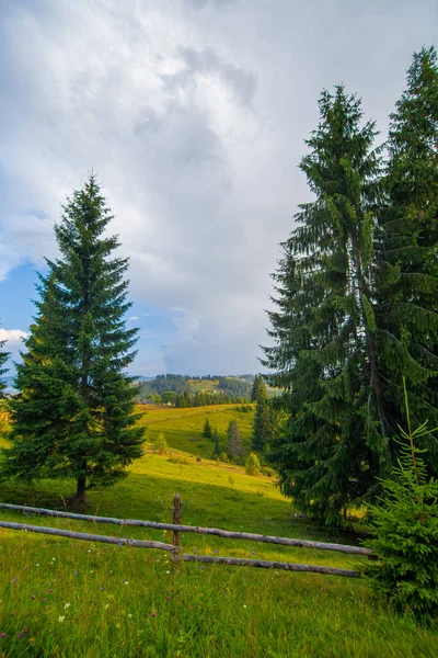 Berg Kullar Ren Natur Landsbygd Landskap Staket Från Trästockar — Stockfoto