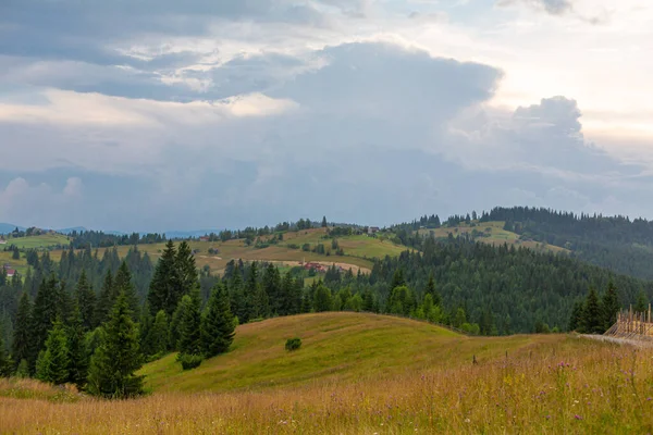 Літній Краєвид Карпатських Гір — стокове фото