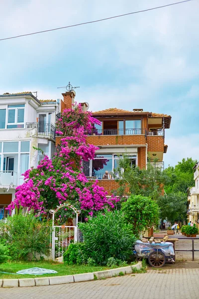 Decorazione Edificio Residenziale Con Fiori Viola Brillante — Foto Stock