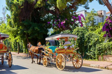 At arabaları. Büyükada adasının sokaklarında at arabasıyla yürümek. Turistlerin ilgisini çekiyor. İstanbul, Türkiye - 28.07.2017