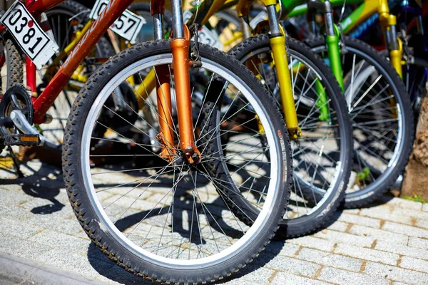 Fahrradabstellplätze Der Stadt Fahrräder Zum Verleih Beliebter Städtischer Öko Transport — Stockfoto