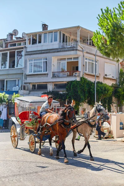 Carruajes Caballos Caminando Carro Por Las Calles Isla Buyukada Atracción — Foto de Stock