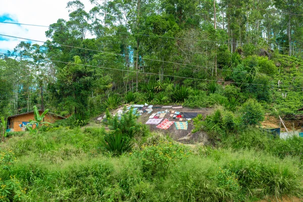 Sri Lanka Adasının Fakir Bölgesi Demiryolunun Yakınındaki Bir Evin Çatısında — Stok fotoğraf