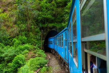 Mavi bir yolcu treni Sri Lanka ormanında ilerliyor..