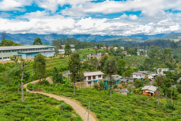 Sri Lanka adası sakinlerinin harap olmuş evleri. Orman konaklama.