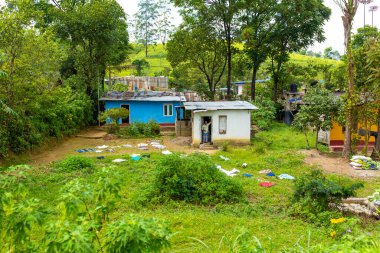 Sri Lanka adası sakinlerinin harap olmuş evleri. Orman konaklama.