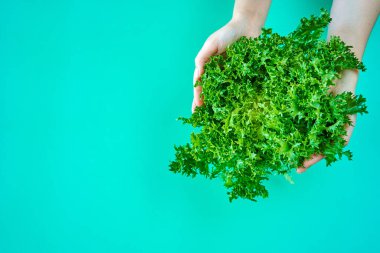 Yeşil arka planda taze yeşil marul salatası..