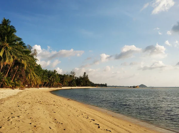 Kumlu Sahil Şeridi Tropik Bir Adada Palmiye Ağaçları — Stok fotoğraf