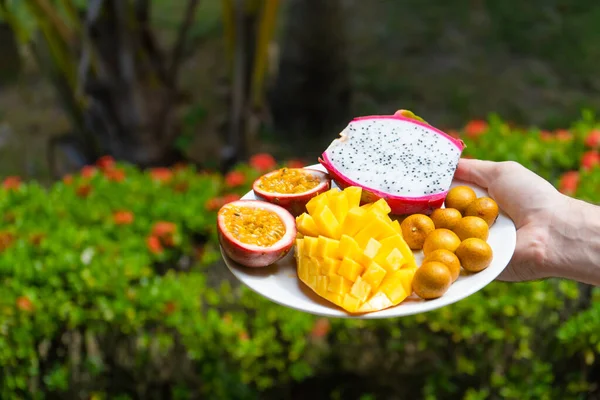 热带早餐 热带花园的水果盘 维生素健康早餐 — 图库照片