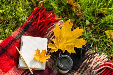 Sonbahar parkında sıcak bir battaniye ve bir fincan kahveyle boş vakit geçirmek. Sonbahar havası ve ruh hali.