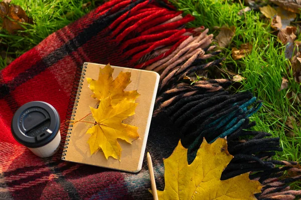 Ocio Con Una Manta Caliente Una Taza Café Parque Otoño — Foto de Stock