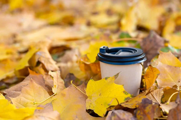 Primer Plano Una Taza Café Caliente Artesanal Hojas Amarillas Caídas — Foto de Stock