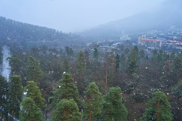 Śnieg Górskim Lesie Zła Pogoda Górach Płatki Śniegu Tle Lasu — Zdjęcie stockowe
