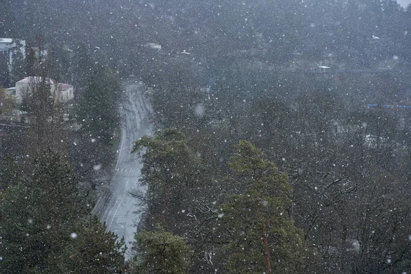 Śnieg Górskim Mieście Zła Pogoda Górach Płatki Śniegu Tle Lasu — Zdjęcie stockowe