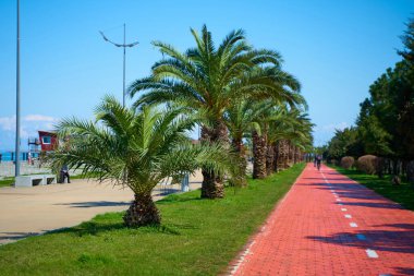 Batumi şehrinin setinde bisiklet ve scooter 'lar için özel bir yol.