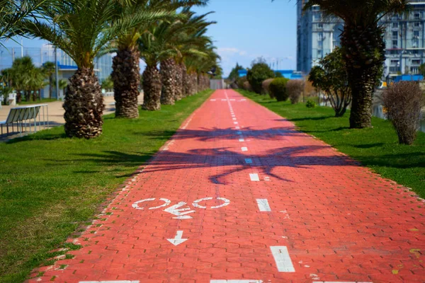 Speciaal Pad Voor Fietsen Scooters Dijk Van Stad Batumi — Stockfoto