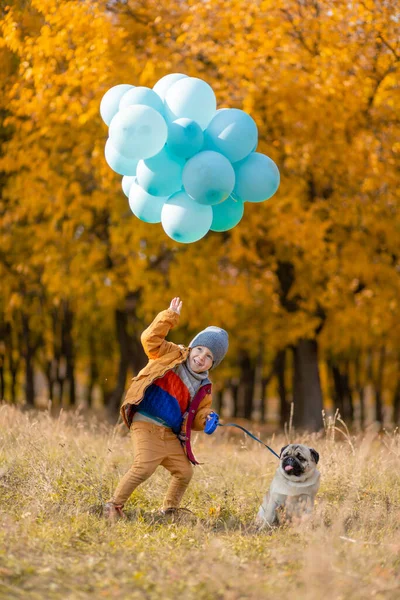 Bir Kucak Dolusu Balonu Bir Pug Köpeği Olan Küçük Bir — Stok fotoğraf