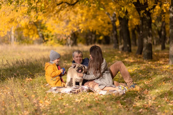 Una Giovane Famiglia Con Bambino Piccolo Cane Trascorrono Del Tempo — Foto Stock