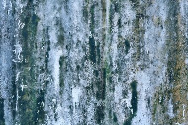 Yeşil küf lekeli beton duvar dokusu.