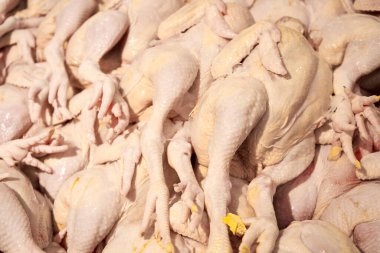 Bir marketin tezgahında toplanmış tavuk leşleri..