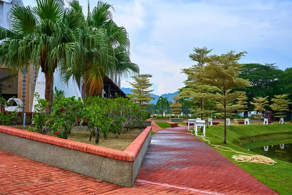 Gardener Set Aside Hose Watering Plants Lawn Park — Stock Photo, Image