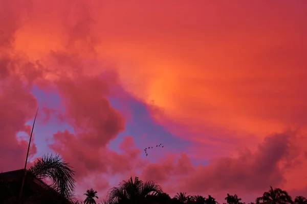 Incroyable Coucher Soleil Rouge Nuages Contre Ciel Bleu — Photo