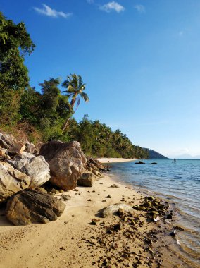 Okyanustaki tropikal bir adada tatil. Sahilde palmiye ağaçları. Temiz su. Rüya tatili.