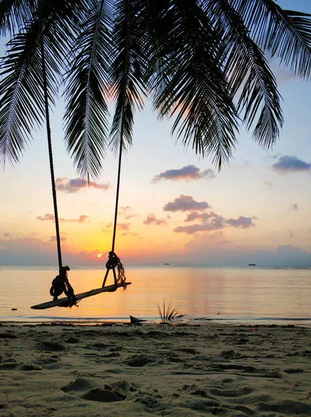 Eine Schaukel Hängt Einer Palme Einem Tropischen Sandstrand Meer Sonnenuntergang — Stockfoto
