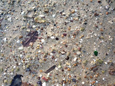 Kumsal dokusu. Kırık deniz kabukları taşlar ve kum.