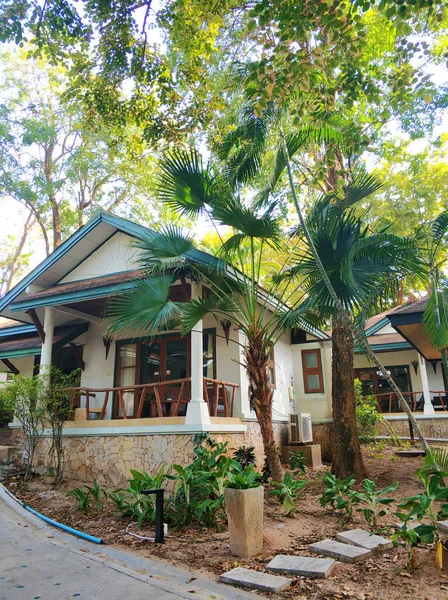 Immobilier Sur Île Koh Samui Thaïlande — Photo