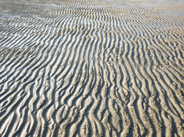 Kumlu okyanus tabanının dalgalı yüzeyi alçak gelgitte kıyıya yakın..