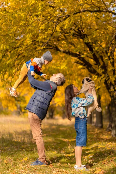 Una Giovane Famiglia Con Bambino Piccolo Cane Trascorrono Del Tempo — Foto Stock